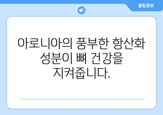 아로니아 추출물, 골 건강 증진에 효과적인 이유 | 아로니아, 골다공증, 건강, 영양