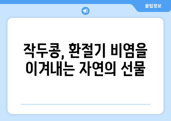 작두콩차, 환절기 비염 극복의 희망| 효능과 활용법 | 비염, 환절기, 건강, 자연치유, 작두콩