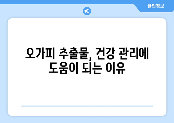 오가피 추출물의 강력한 항산화 효과| 자유 라디칼로부터 건강 지키기 | 항산화, 자유 라디칼 제거, 오가피 효능, 건강 관리