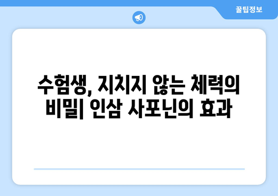 수험생 체력 & 집중력 UP! 인삼 사포닌의 효과적인 활용법 | 수험생, 체력관리, 집중력 향상, 인삼, 사포닌