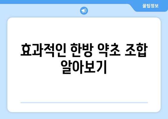 효과적인 한방 약초 조합 알아보기