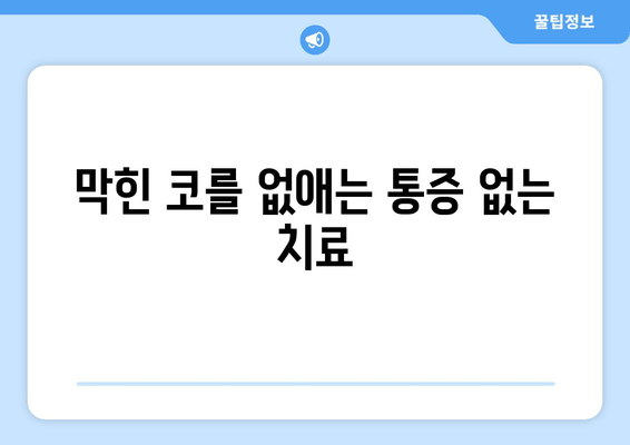 막힌 코를 없애는 통증 없는 치료
