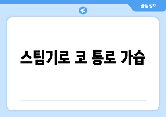 스팀기로 코 통로 가습