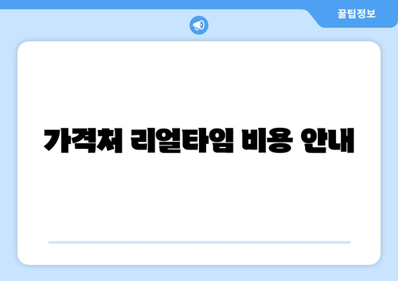 가격처 리얼타임 비용 안내