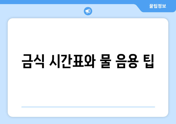 금식 시간표와 물 음용 팁