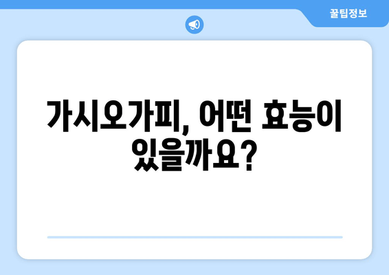 가시오가피 섭취, 누구에게 좋을까요? | 건강, 효능, 부작용, 주의사항