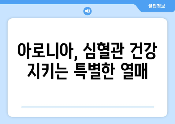 아로니아 추출물이 심혈관 건강에 미치는 영향| 연구 결과 및 효능 | 아로니아, 심혈관 질환, 건강, 항산화, 폴리페놀