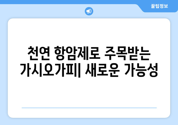 가시오가피 추출물, 암 예방의 새로운 가능성| 연구 결과 및 전망 | 건강, 항암 효과, 천연물