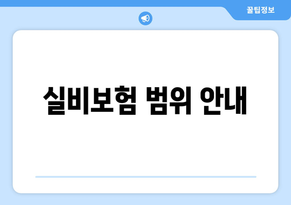 실비보험 범위 안내