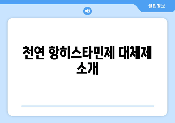 천연 항히스타민제 대체제 소개