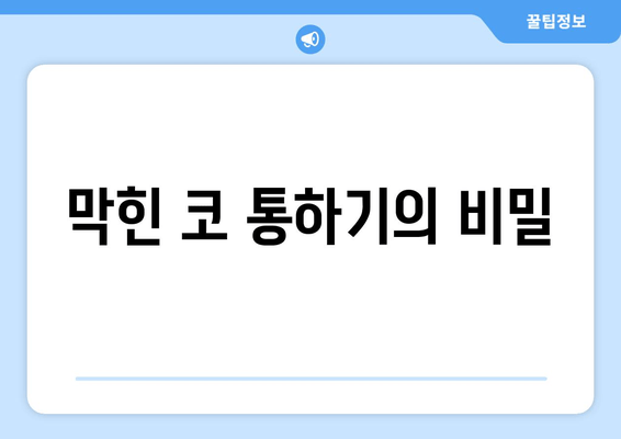 막힌 코 통하기의 비밀