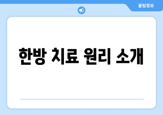 한방 치료 원리 소개