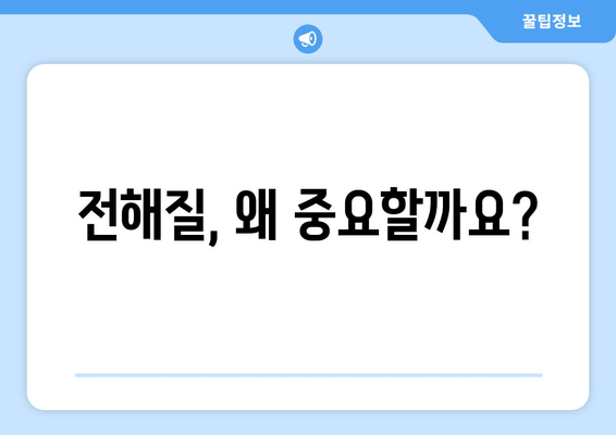 전해질, 왜 중요할까요?