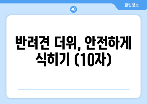 반려견 더위, 안전하게 식히기 (10자)