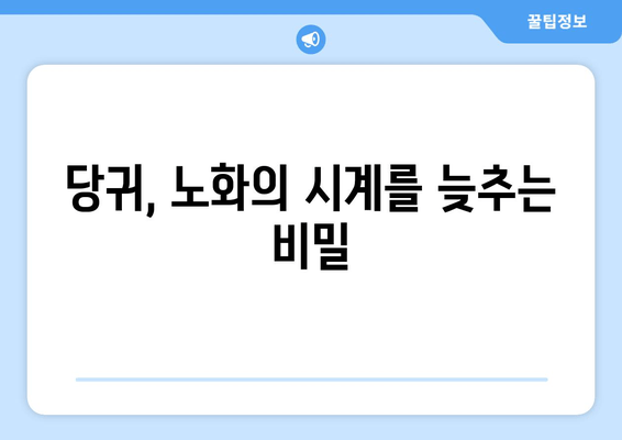 당귀의 놀라운 효능| 노화 억제와 장수를 위한 강력한 항산화제 | 건강, 장수, 항산화, 면역력