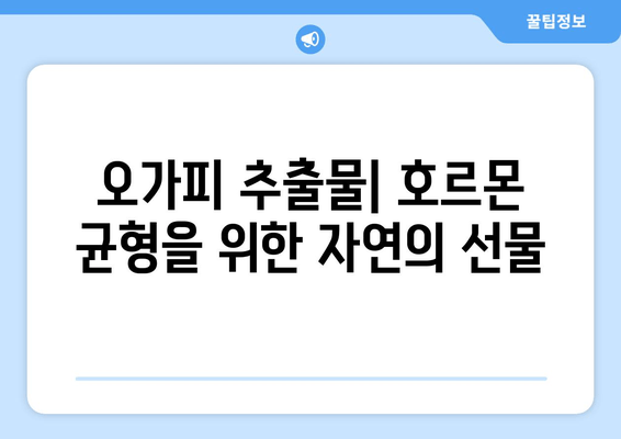 오가피 추출물, 호르몬 균형에 미치는 영향|  효능과 연구 결과 | 건강, 여성 건강, 남성 건강, 자연 건강 보조제