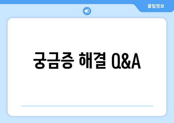 궁금증 해결 Q&A