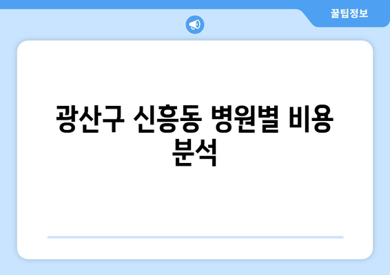 광산구 신흥동 병원별 비용 분석