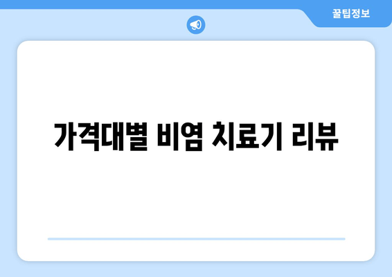 가격대별 비염 치료기 리뷰