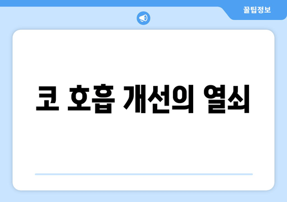 코 호흡 개선의 열쇠