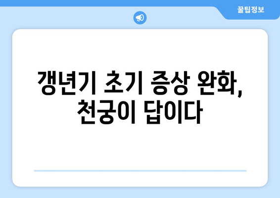 천궁, 갱년기 초기 증상 완화에 효과적인 한약 | 천궁 효능, 갱년기 증상, 한약 처방