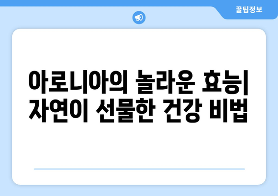 아로니아 추출물의 경이로움| 건강과 웰빙을 위한 자연 통로 | 아로니아 효능, 아로니아 추출물 활용, 건강 식품, 항산화