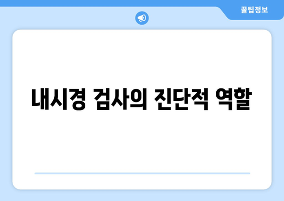 내시경 검사의 진단적 역할