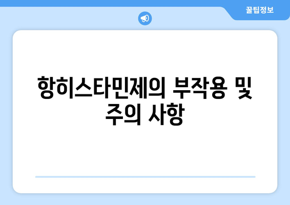 항히스타민제의 부작용 및 주의 사항