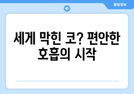 세게 막힌 코? 편안한 호흡의 시작