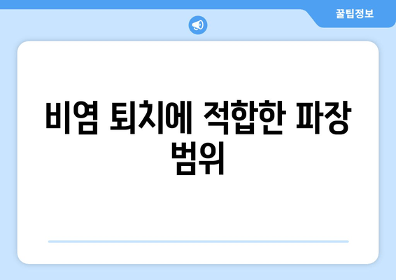 비염 퇴치에 적합한 파장 범위