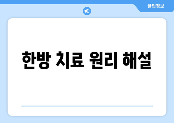 한방 치료 원리 해설