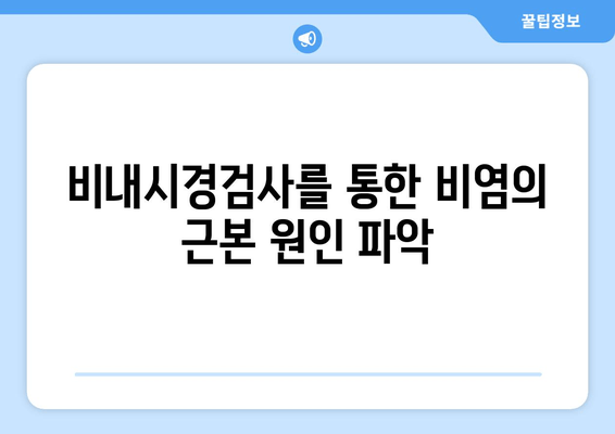 비내시경검사를 통한 비염의 근본 원인 파악