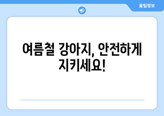 여름철 강아지, 안전하게 지키세요!