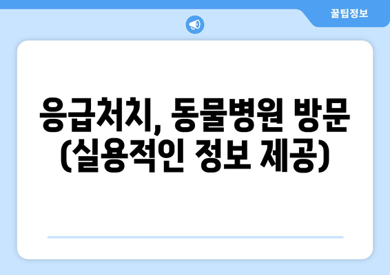 응급처치, 동물병원 방문 (실용적인 정보 제공)