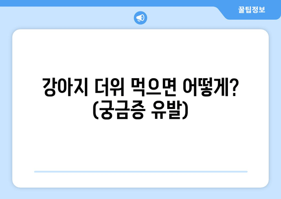 강아지 더위 먹으면 어떻게? (궁금증 유발)