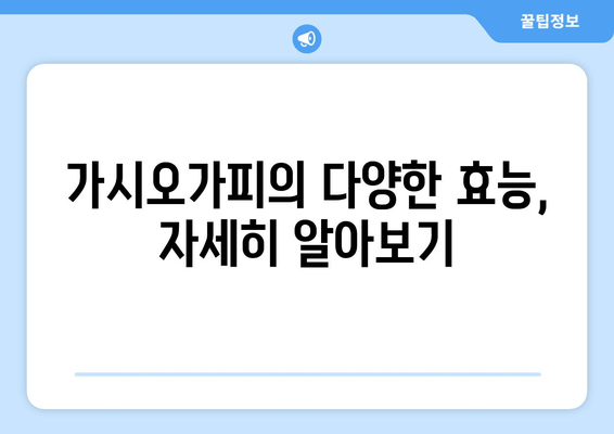 가시오가피 효능, 이제 제대로 알아보자! | 건강, 허브, 면역력, 효능, 부작용, 복용법