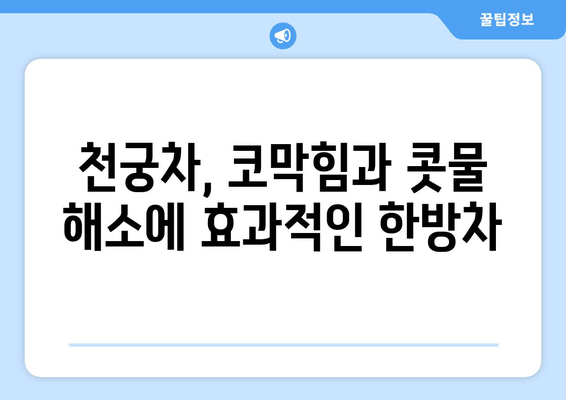 천궁차, 환절기 비염 잡는 한방 비법 | 천궁 효능, 비염 예방, 환절기 건강