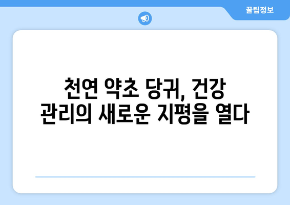 당귀| 통증 완화와 항염증 효과를 위한 자연 치유제 | 천연 약초, 건강, 통증 관리, 염증 완화