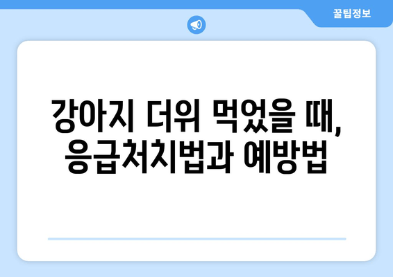 강아지 더위 먹었을 때, 응급처치법과 예방법