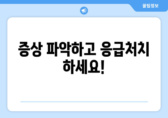 증상 파악하고 응급처치 하세요!