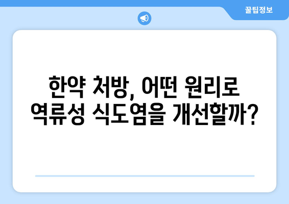 역류성 식도염, 한약으로 증상 완화 및 회복 가능할까요? | 한방 치료, 증상 완화, 처방, 효과