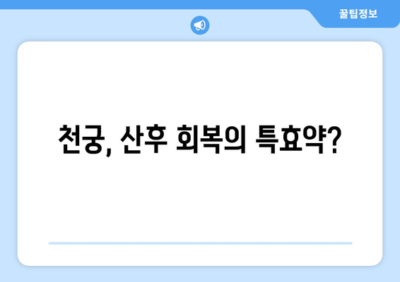 천궁| 산후 회복의 핵심, 산모 건강 지키는 한약의 효능 | 천궁, 산후조리, 한방, 건강 팁