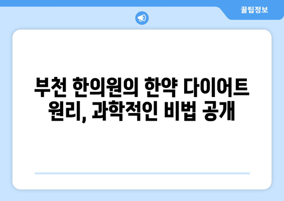 부천 한의원의 한약 다이어트 원리| 건강하게 살 빼는 비법 | 다이어트 한약, 체질별 맞춤, 부천 한의원