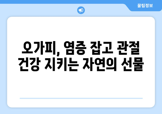 오가피 추출물의 항염증 효과| 관절통 완화를 위한 자연의 솔루션 | 오가피, 관절염, 통증 완화, 건강 팁