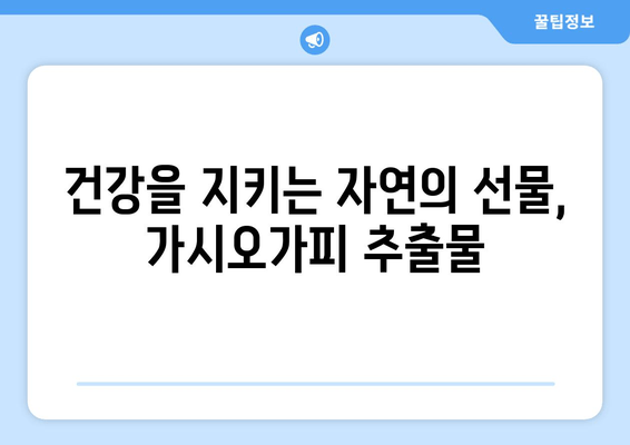 가시오가피 추출물, 암 예방의 새로운 가능성| 연구 결과 및 전망 | 건강, 항암 효과, 천연물