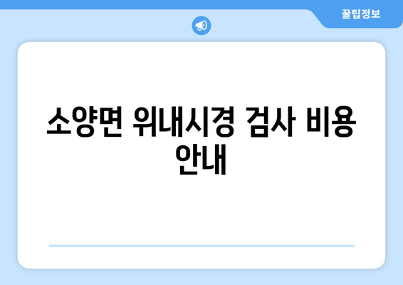 소양면 위내시경 검사 비용 안내