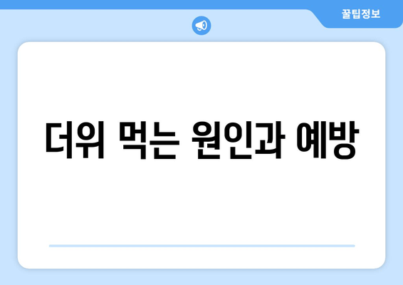 더위 먹는 원인과 예방