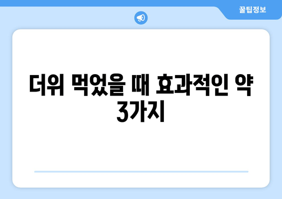 더위 먹었을 때 효과적인 약 3가지