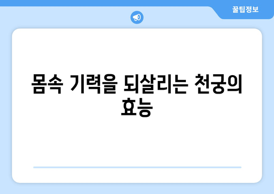 천궁| 산후 회복의 핵심, 산모 건강 지키는 한약의 효능 | 천궁, 산후조리, 한방, 건강 팁