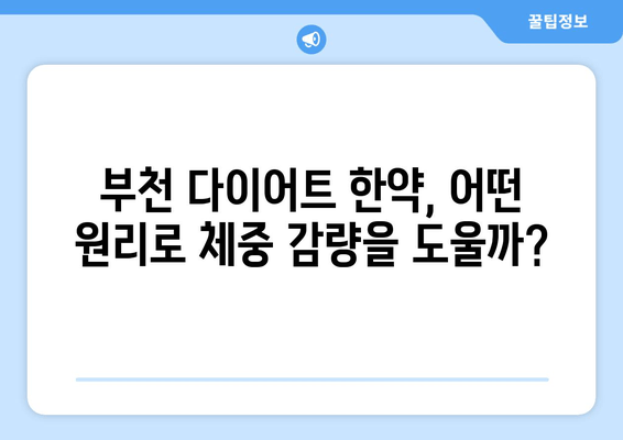 부천 다이어트 한의원의 한약, 어떻게 효과를 볼까요? | 체중 감량, 한약 원리, 부천 한의원 추천